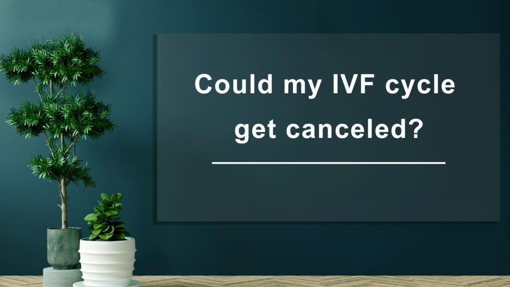 Could-my-IVF-cycle-get-cancelled