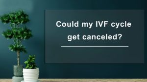 Could-my-IVF-cycle-get-cancelled
