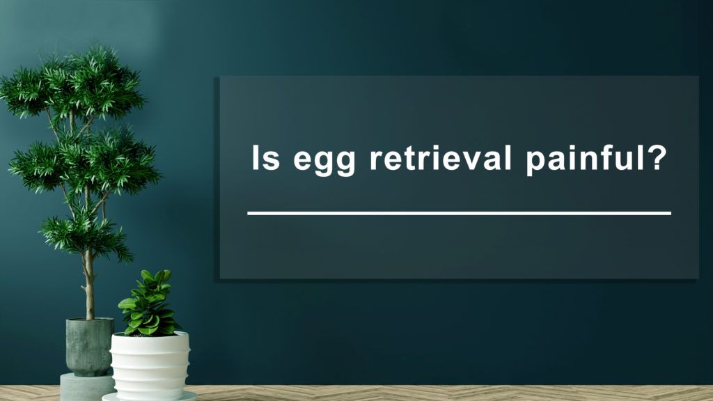 Is-egg-retrieval-painful