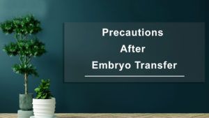 Precautions-After-Embryo-Transfer