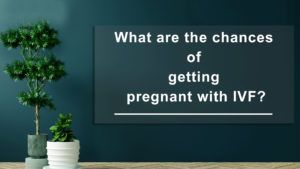 What-are-the-chances-of-getting-pregnant-with-IVF