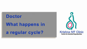 What-happens-in-a-regular-cycle