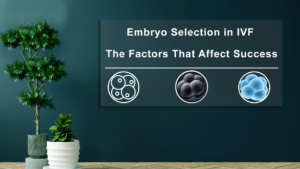 Embryo-Selection-in-IVF-The-Factors-That-Affect-Success