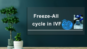 Freeze-all-cycle-in-IVF