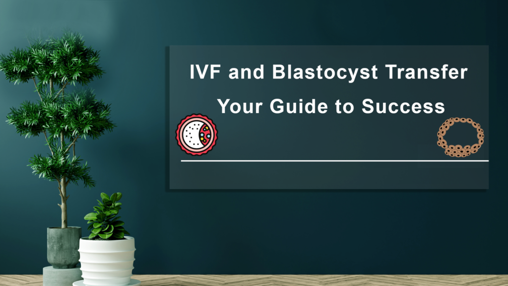 IVF-and-Blastocyst-Transfer-Your-Guide-to-Success