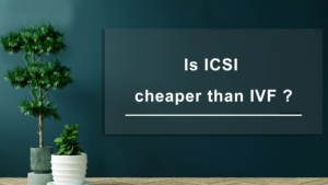 Is-ICSI-cheaper-than-IVF