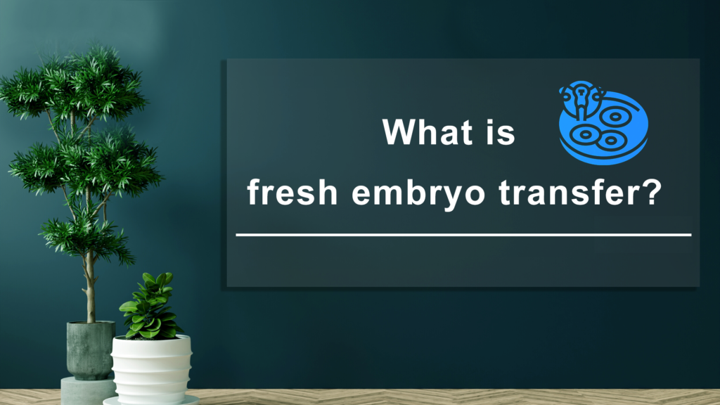 What-is-Fresh-Embryo-Transfer