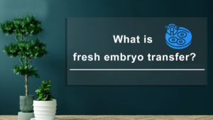 What-is-Fresh-Embryo-Transfer