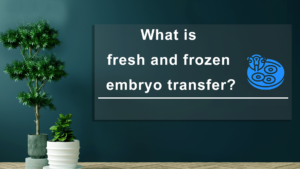 What-is-Fresh-and-Frozen-Embryo-Transfer