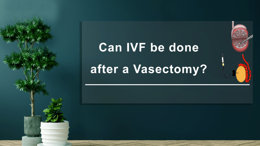 Can-IVF-be-Done-After-a-Vasectomy