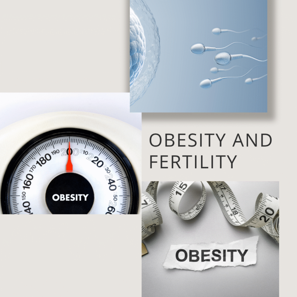 Navigating-Obesity-and-Fertility8