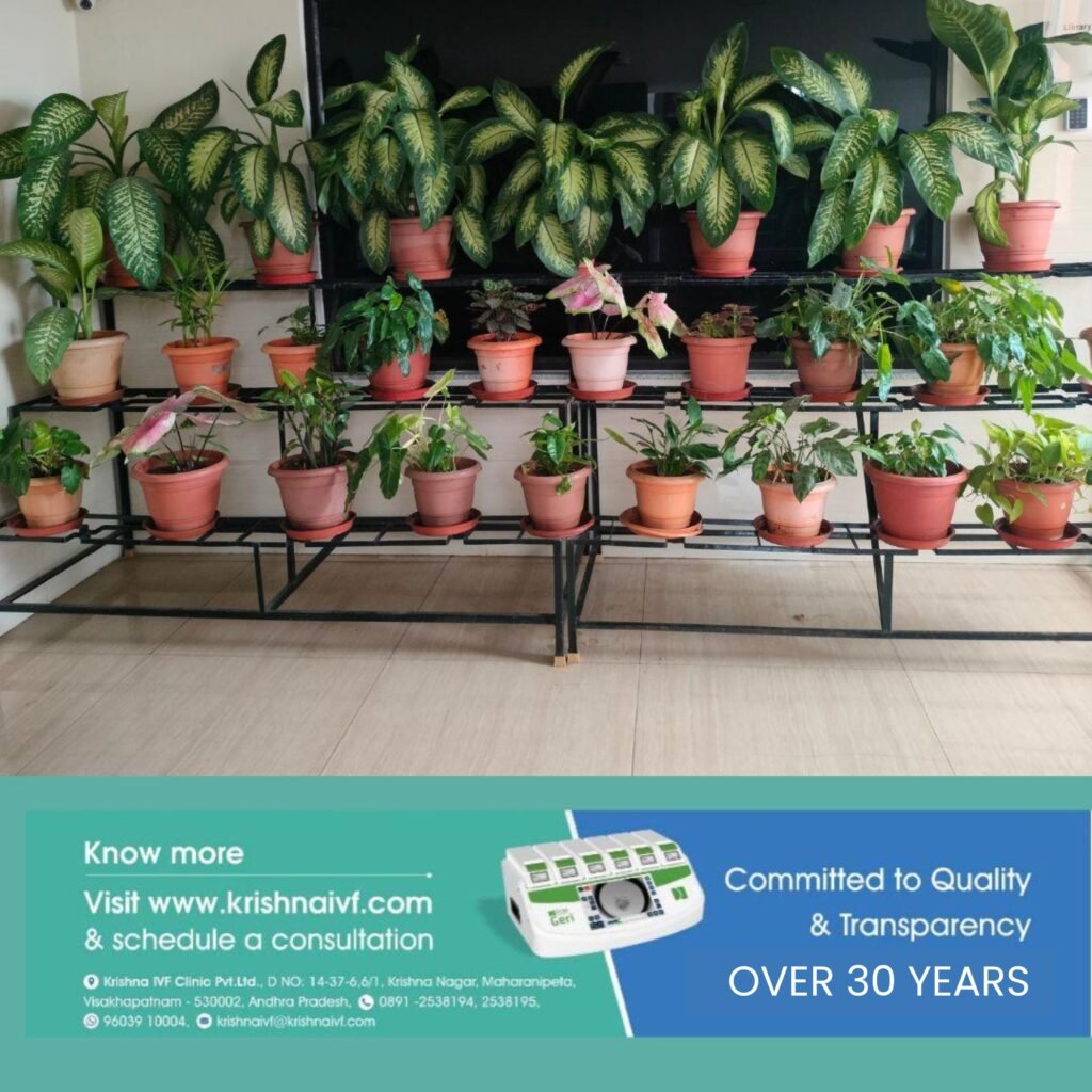 Creating-a-Healing-Environment-at-Krishna-IVF1