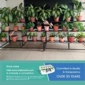 Creating-a-Healing-Environment-at-Krishna-IVF1