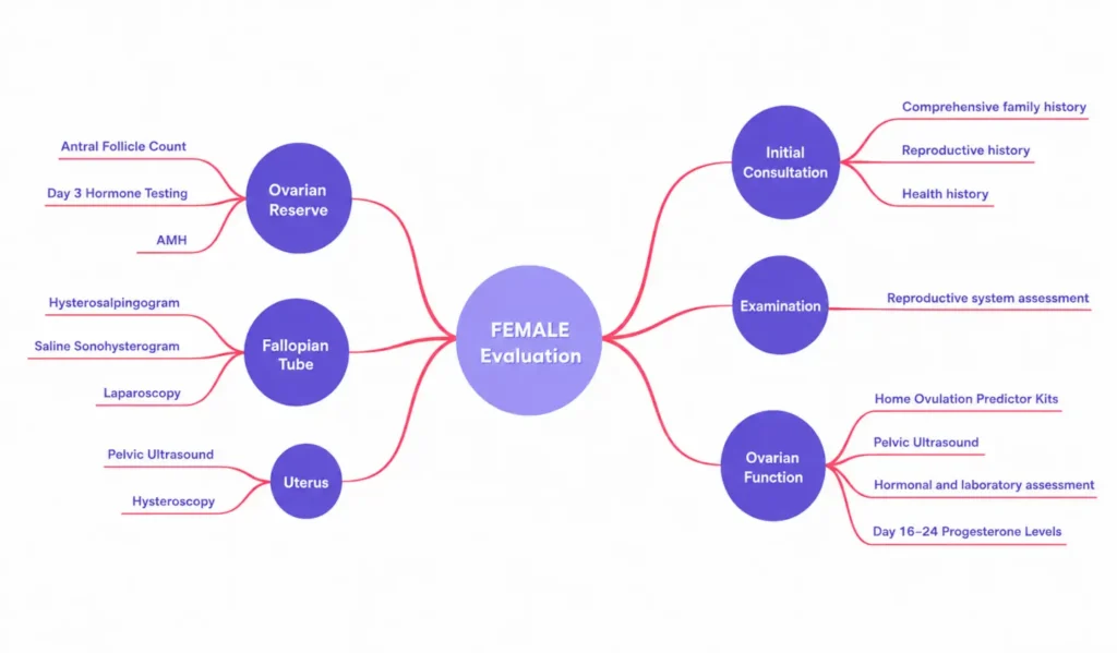 Female-Evaluation