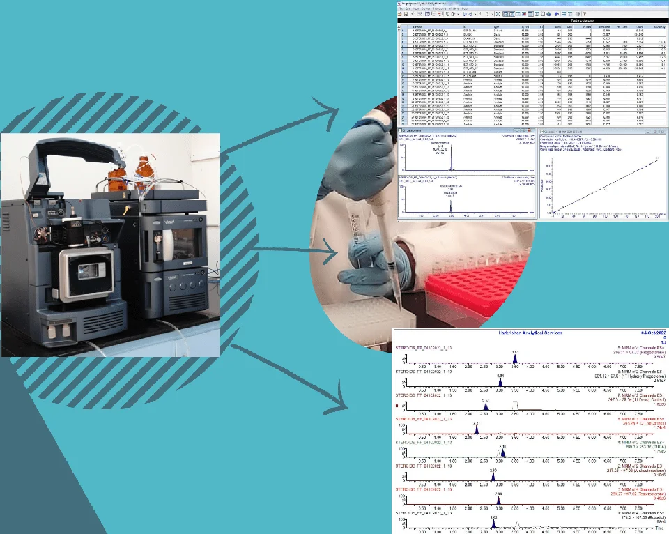 metabolomics laboratory analysis