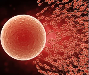 ovulation induction monitoring