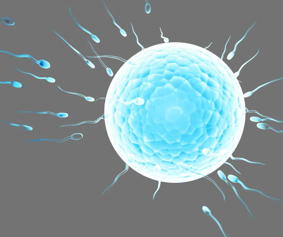 ovulation induction monitoring