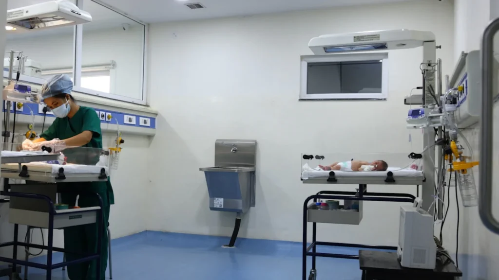 twin pregnancy ultrasound assessment
