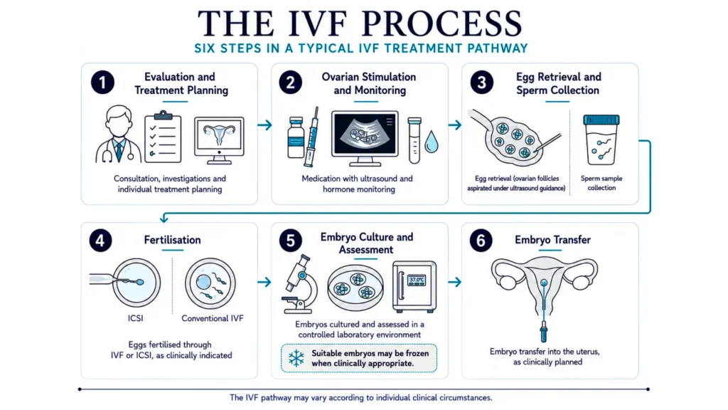 World IVF Day 2026: What Patients Should Know