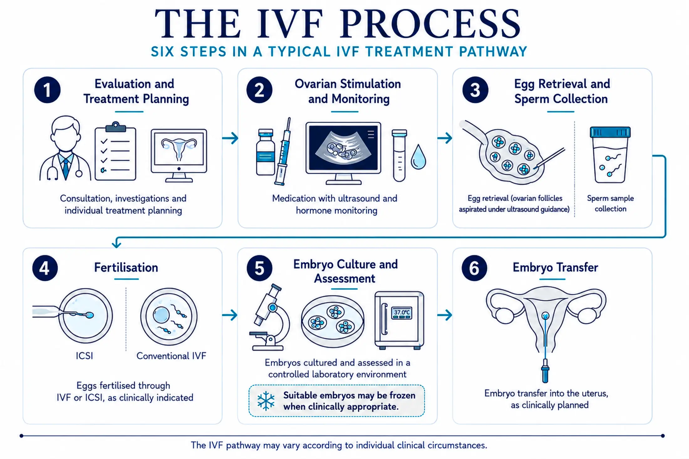 world ivf day 2026 ivf process